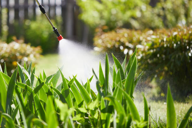 24/7 Emergency Cockroach Control experts in Pearl City, HI