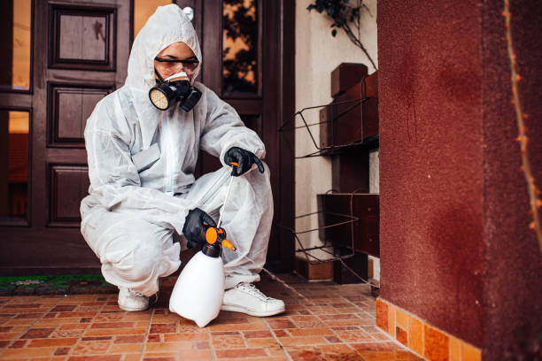 Reliable Cockroach Control contractor in Pearl City, HI by Nex Pest Control
